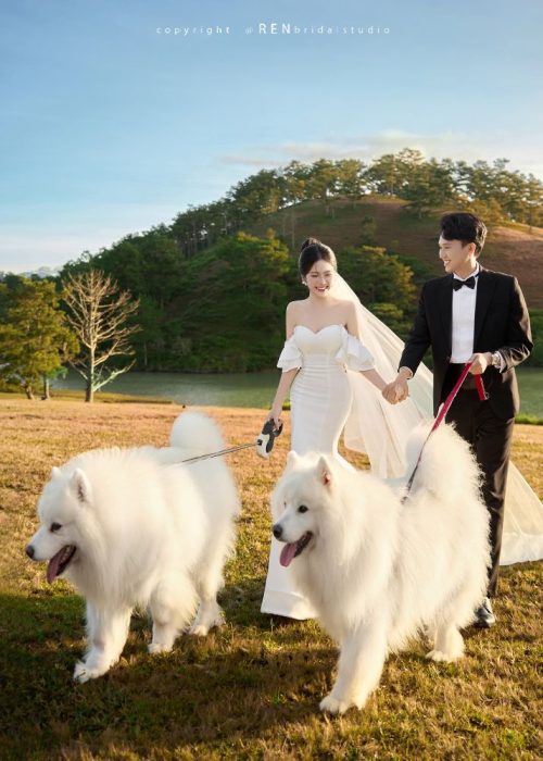 Đà Lạt<br>-<BR>CÂY THÔNG CÔ ĐƠN